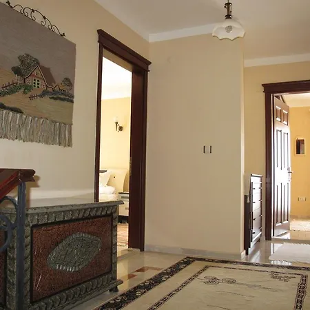 فيلة Fiesta 07 أولدينيس